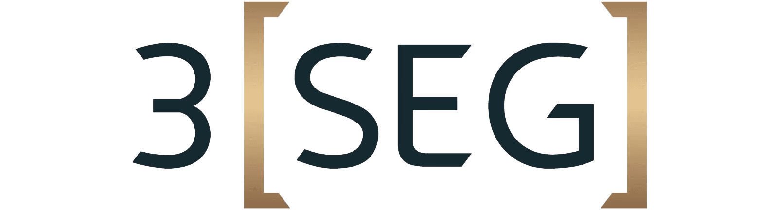 Logo 3Seg